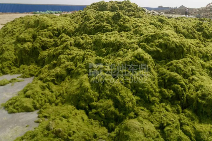 牧草烘干機(jī)如何科學(xué)選型？牧草烘干過程中營養(yǎng)成分會流失嗎