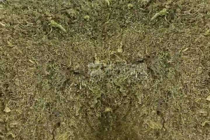 牧草烘干機(jī)如何科學(xué)選型？牧草烘干過程中營養(yǎng)成分會流失嗎